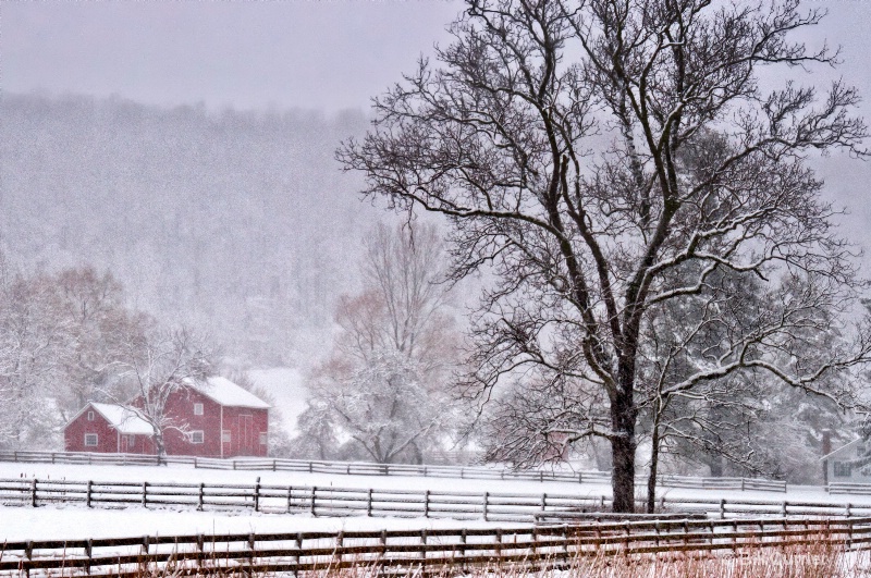 Hale Farm - CVNP Snowy Morning - ID: 11539847 © Bill Currier