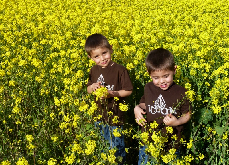 Twins in Mustard Field