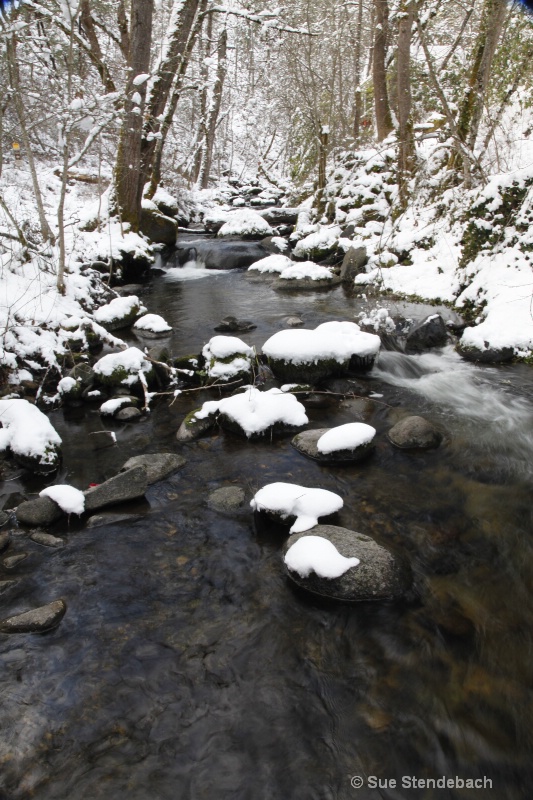 Snow Prints, Ashland Creek, Ashland, OR - ID: 11543960 © Sue P. Stendebach