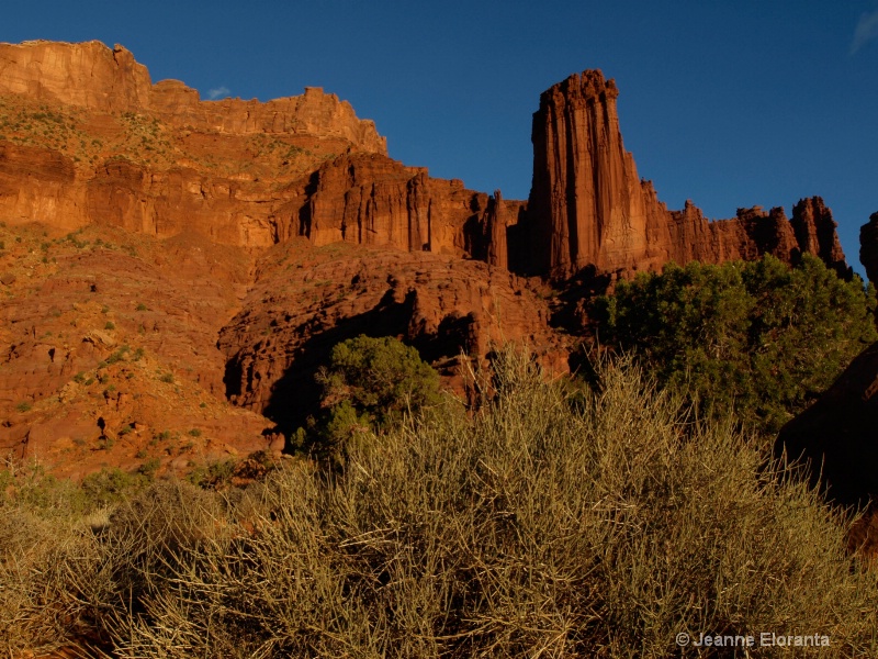 Last Light on Fisher Towers: Moab