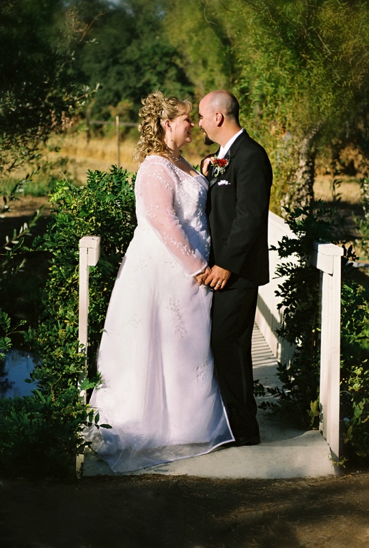 My First Wedding Shoot 6/1/02 - ID: 11550200 © Susan M. Reynolds