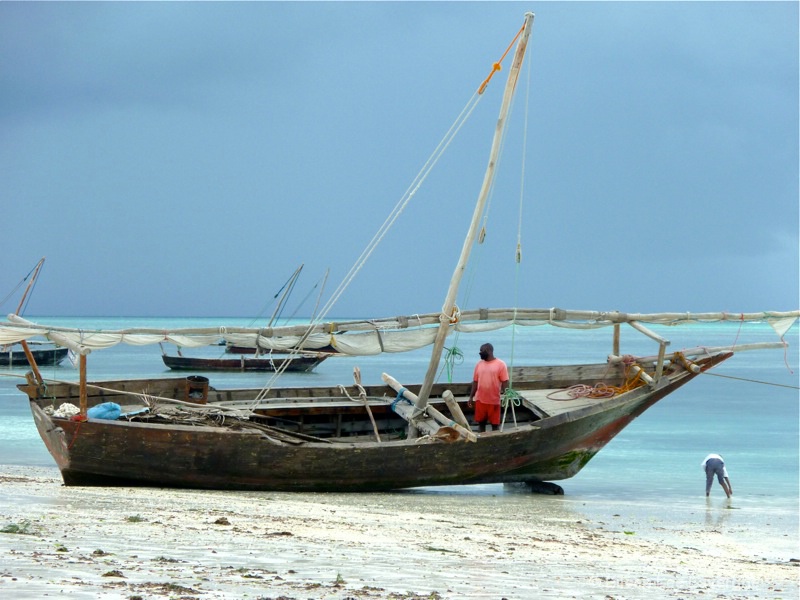 Zanzibar coastal village