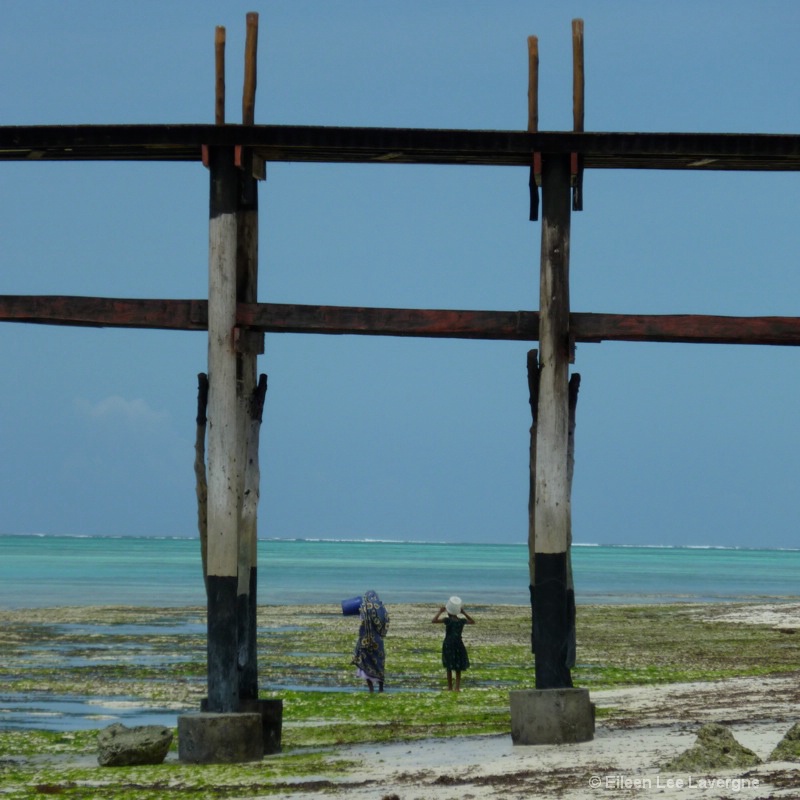 Zanzibar coast 2
