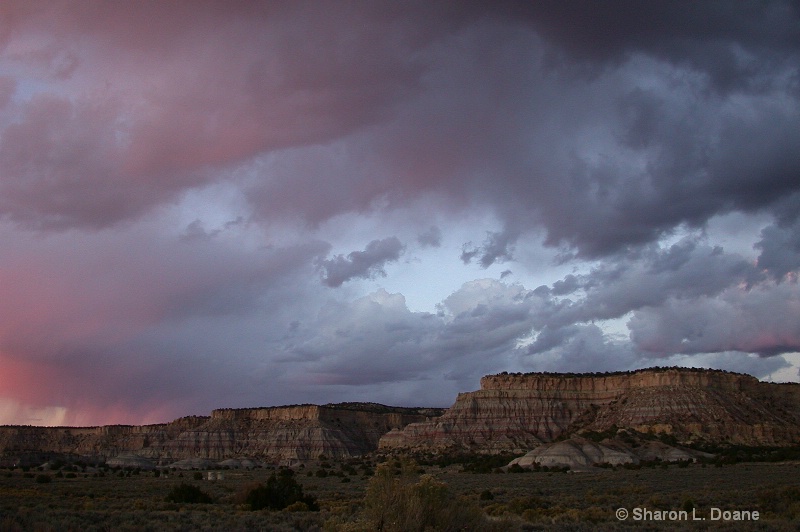 Evening Storm