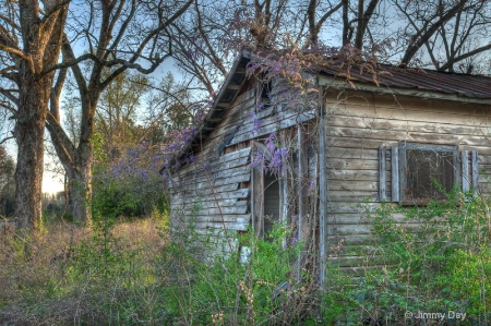 Wisteria House