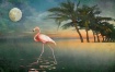 Flamingo Moon