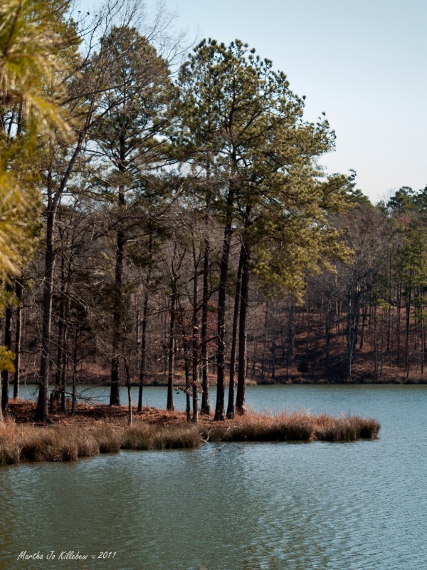 The Park in the Winter