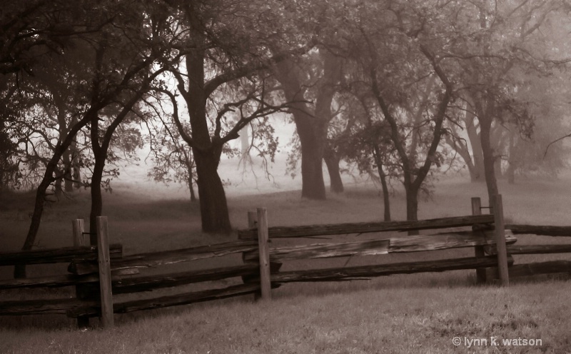 Fence in Fog