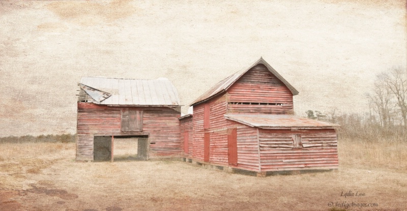 Grand Old Barn - ID: 11555641 © Lydia Lee