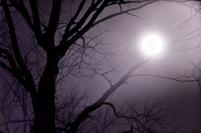 Moonlight Glow - ID: 11559115 © Eric Highfield