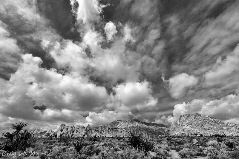 Mojave National Preserve - ID: 11559149 © Craig W. Myers