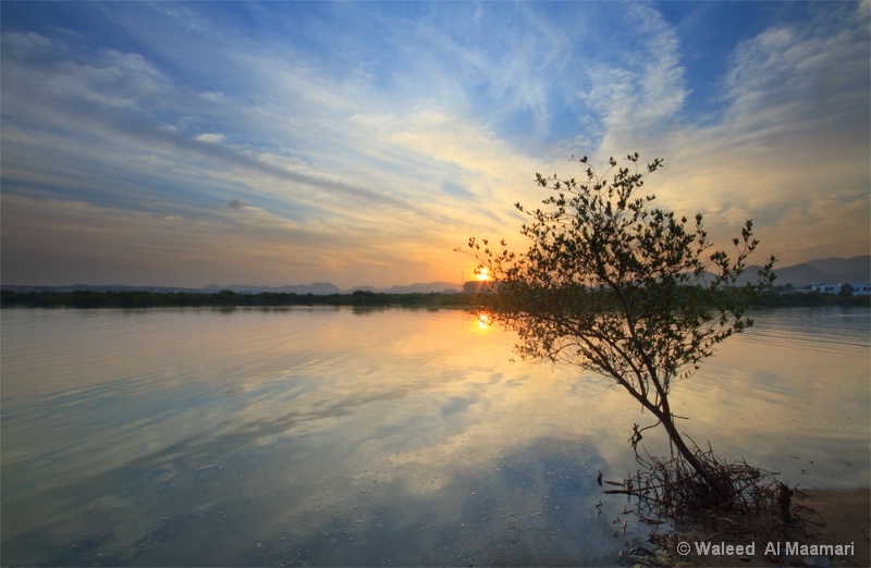 Alone with sunrise