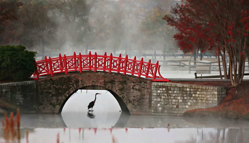 Foggy Bridge