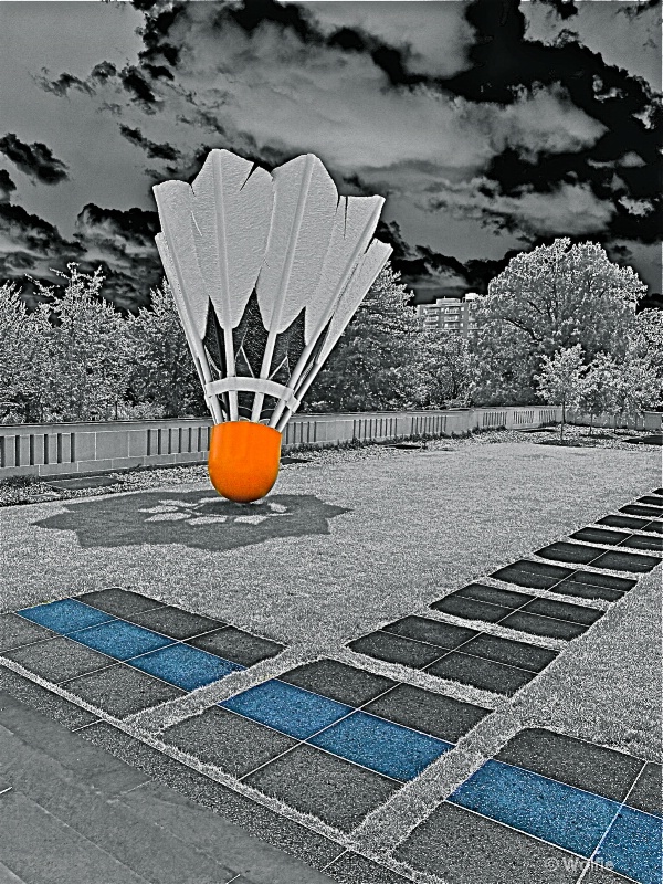 img7