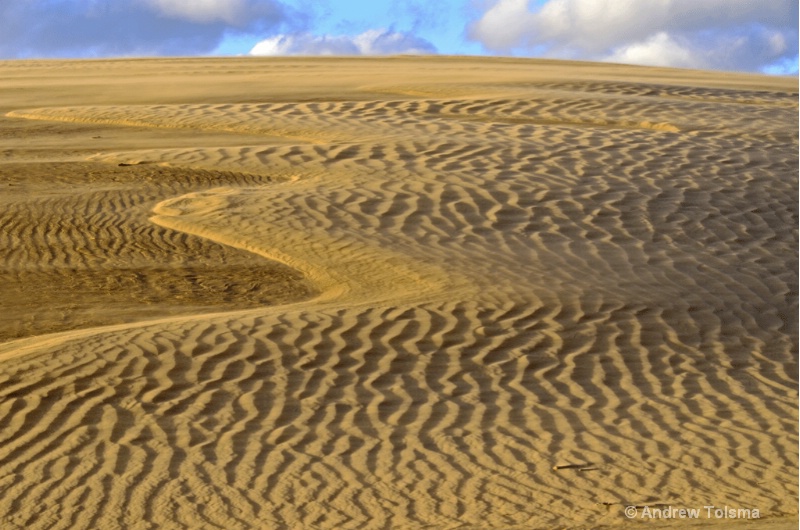 Winnemucca Dunes