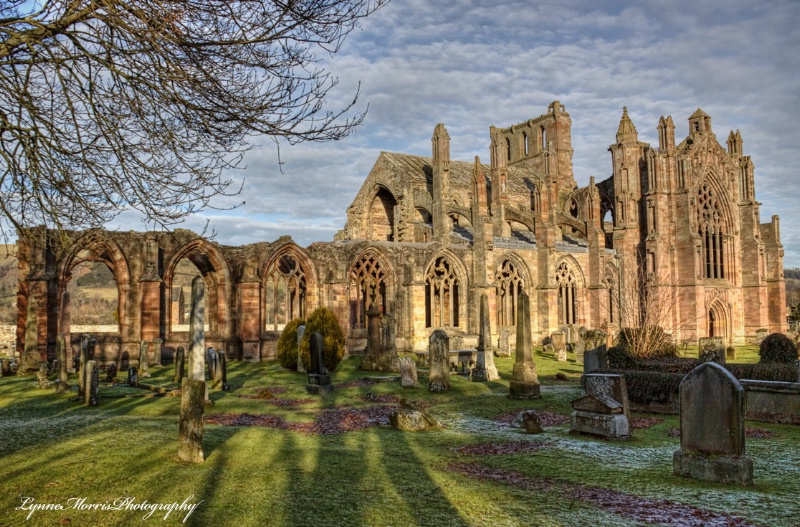 Melrose Abbey From The South