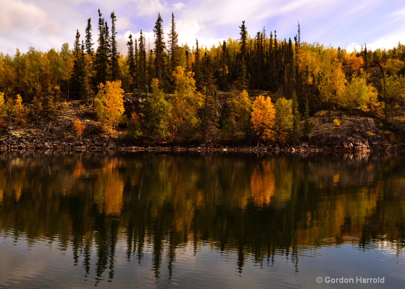 Glassy Water