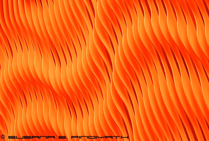 RedOrange Waves 