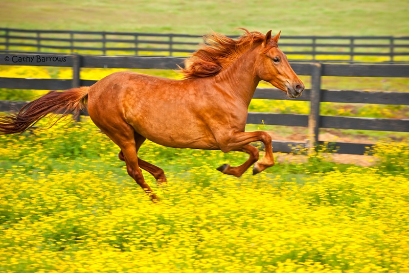 Taking Flight