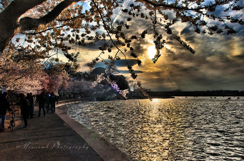 History and Beauty (Washington D.C.)