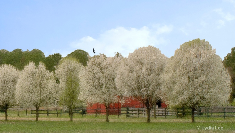 Spring in the Country - ID: 11578741 © Lydia Lee