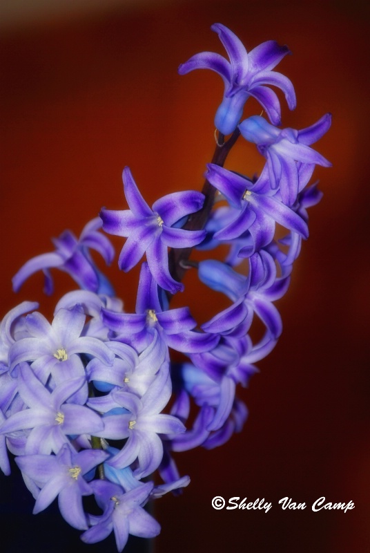 img20