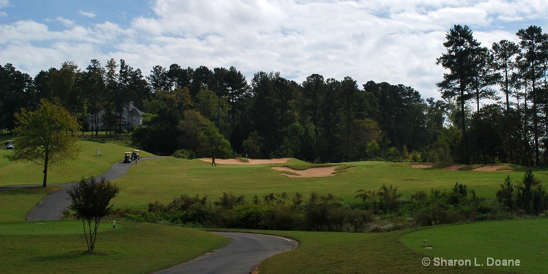 Playing the Greens