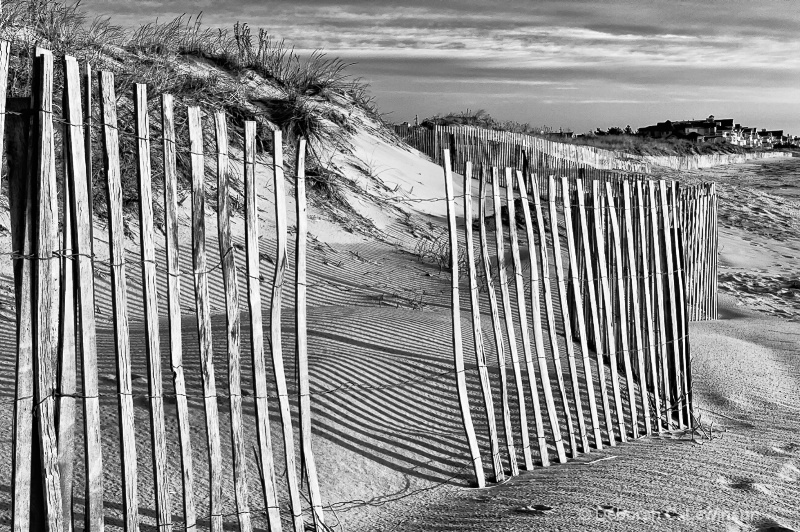 Cape May - ID: 11586787 © Deborah C. Lewinson