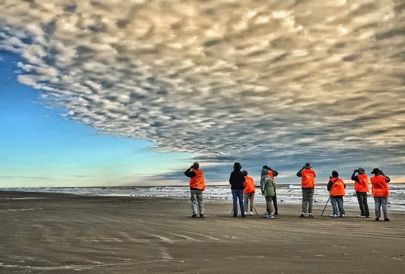 The Birders of Padre