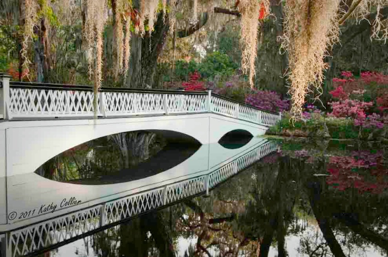 Bridge to the Garden