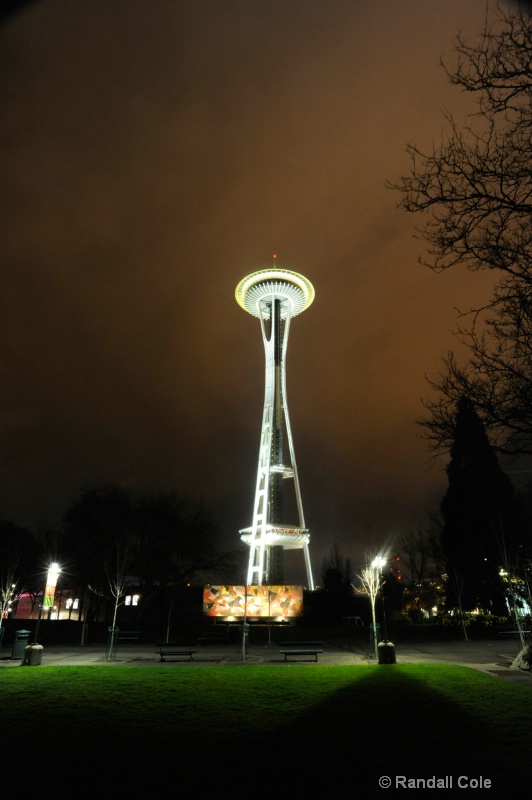 Wide Angle 20mm Space Needle