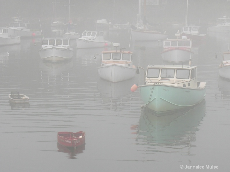 Perkins Cove Fog - ID: 11589823 © Jannalee Muise