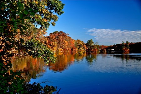 Long Island Fall