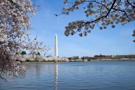 spring in Washington