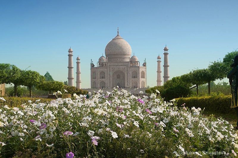 Taj Mahal-2011