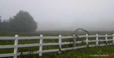 Foggy Day (4)