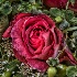 © Elliot Barnathan PhotoID# 11600225: Spring Flowers 11