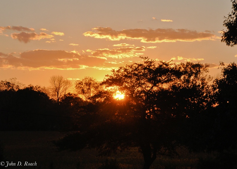 Sunset at the Oasis