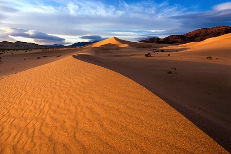 Ibex Dunes