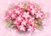 Bouquet of Well W...