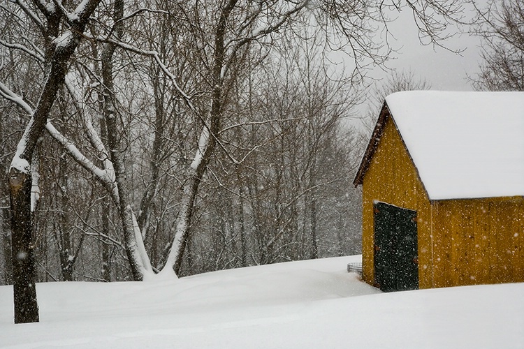 Snow fall!