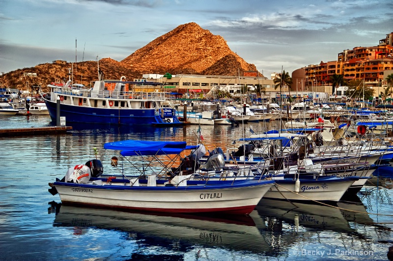 Cabo San Lucas Harbor