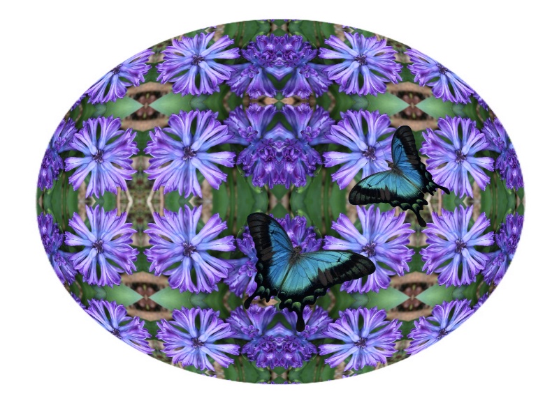 Butterflies - ID: 11612652 © Theresa Marie Jones