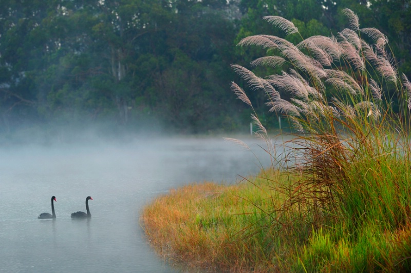 Winter morning