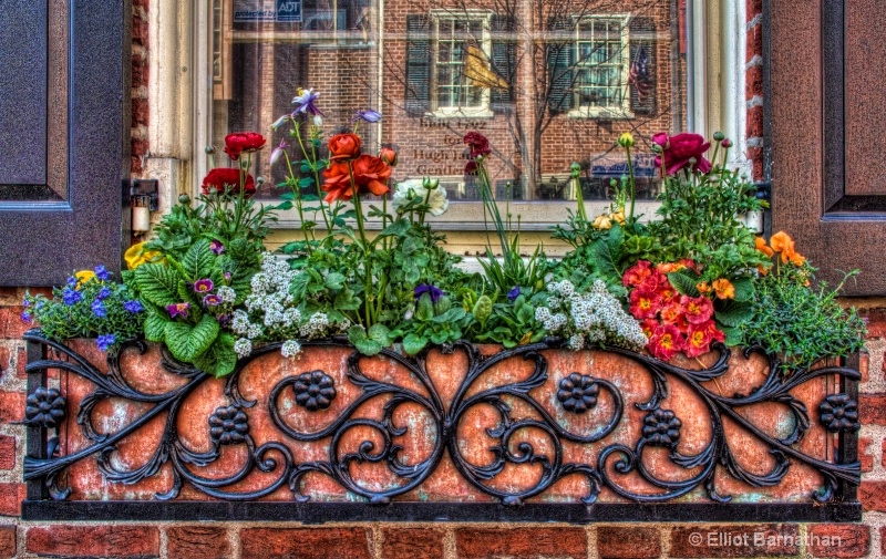 Window Boxes in Philly 4