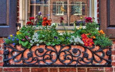 Window Boxes in Philly 4