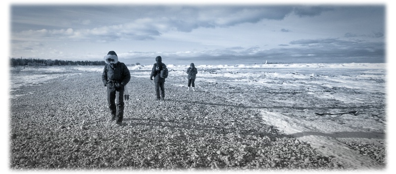 Welcome to suebradyphotography.com