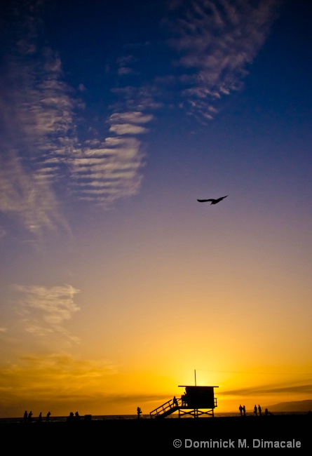 ~ SUNSET AT SANTA MONICA BEACH ~ - ID: 11628598 © Dominick M. Dimacale