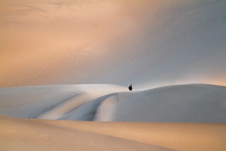 Hiker in the Dunes