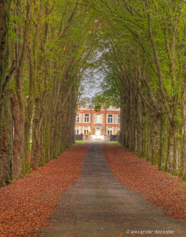 driveway in autumn